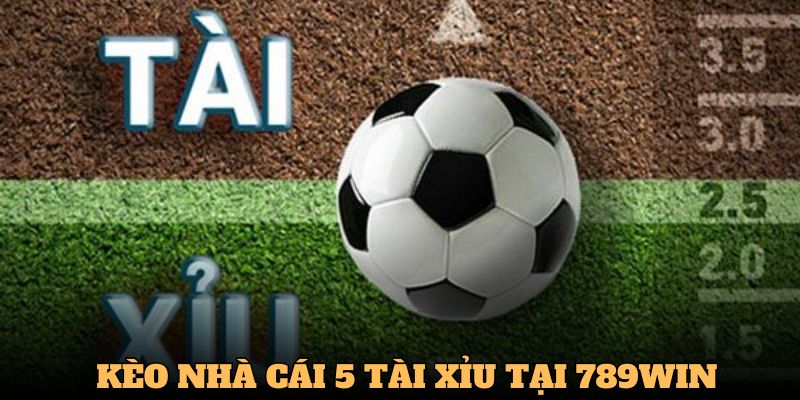 Cá cược kèo nhà cái 5 dễ dàng dạng Tài Xỉu Cá cược kèo nhà cái 5 dễ dàng dạng Tài Xỉu
